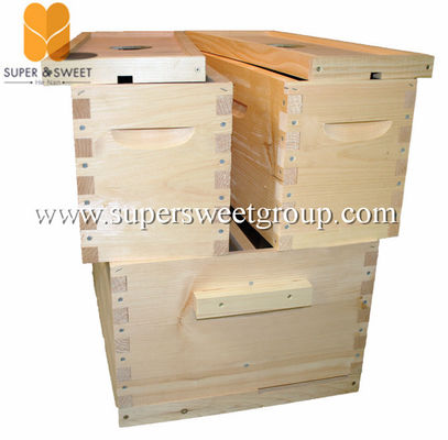 Plastic Corrugated 5 Frame Nuc Box