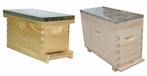 Beekeeping 4/ 5 Frames Wooden Nuc Box Size Flexible For Queen Bees