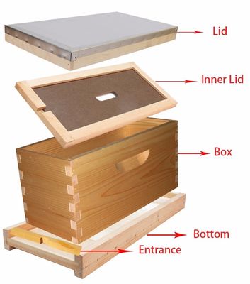 Beekeeping 4/ 5 Frames Wooden Nuc Box Size Flexible For Queen Bees