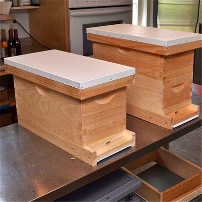 Beekeeping 4/ 5 Frames Wooden Nuc Box Size Flexible For Queen Bees