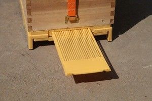 Multi Function  Bee Hive Equipment Pump Draw Pull Type Plastic Bottom Board For Beehive