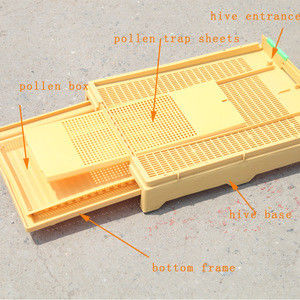 Multi Function  Bee Hive Equipment Pump Draw Pull Type Plastic Bottom Board For Beehive