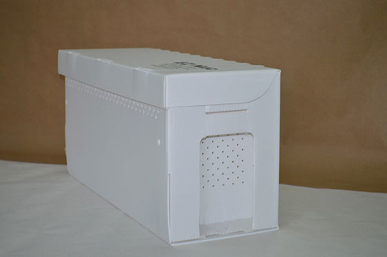 OEM Available Bee Hive Equipment Queen Rearing PP Plastic Corrugated Nuc Box