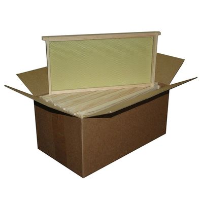 Assembled Wood Bee Frame with Plastic Foundation for Langstroth Beehive