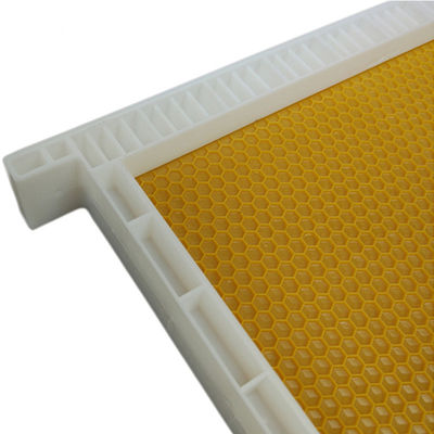 Sheet Langstroth  Plastic Beehive Frames Size Customized For Beekeeping Equipment