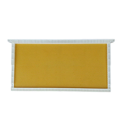 Sheet Langstroth  Plastic Beehive Frames Size Customized For Beekeeping Equipment