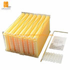 Chinese Wax-Coated Cedar Wood Automatic Self-Flowing Honey Bee Hive & 7 Auto Frames Apiculture Beekeeping Equipment Tool