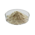 Milk White Freeze Dried Royal Jelly Gelee Royale Powder ISO Approved
