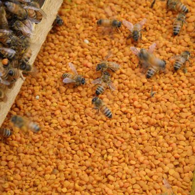 Factory Supply Premium Health Supplement Fresh Tea Bee Pollen Pure Natural Plant Extract Edible Tea Bee Pollen