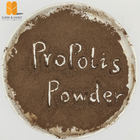 Manufacturer Supply High Flavonoids  Brown Propolis 60% Propolis Powder for wholesaler