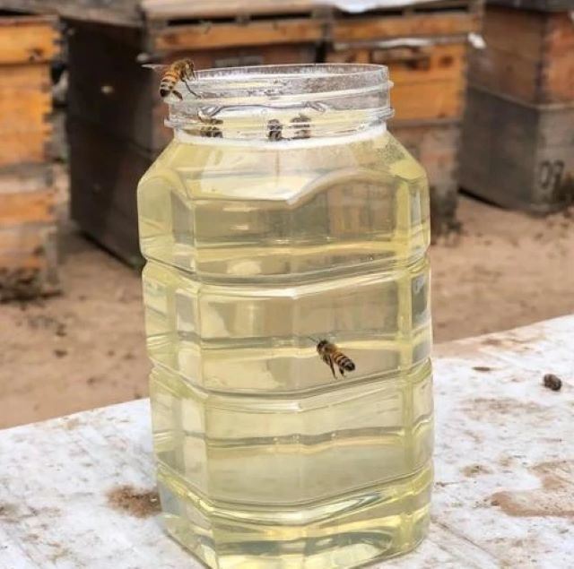 100% Pure Natural Acacia Honey Liquid Bulk 290kg Drum Wholesale Supplier for Food Processing