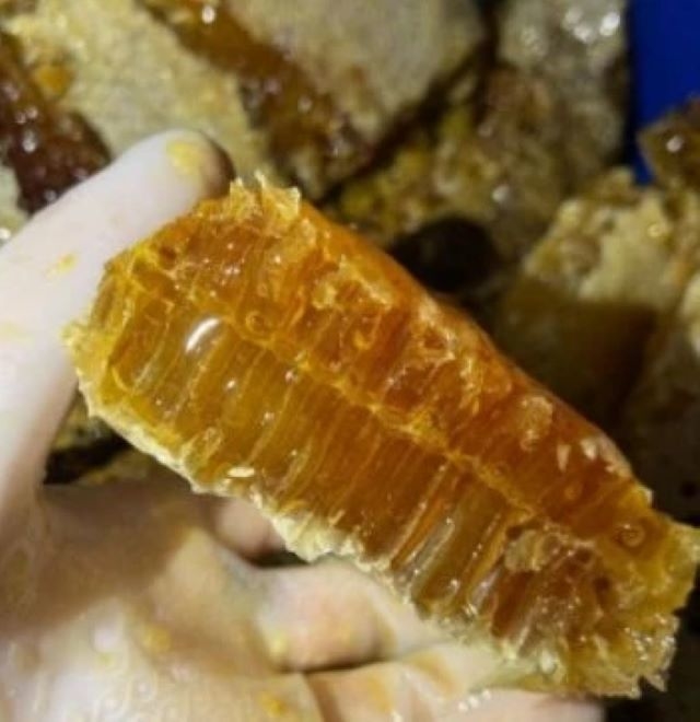 Wholesale Bulk High Quality Honeycomb Food Grade Fresh Raw Comb Honey 100% Pure Natural Honeycomb in Box Packaging
