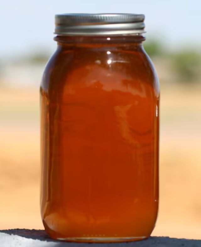 100% Pure Natural Wild Eucalyptus Honey High Quality Edible Bee Product Food Grade Fresh Eucalyptus Honey