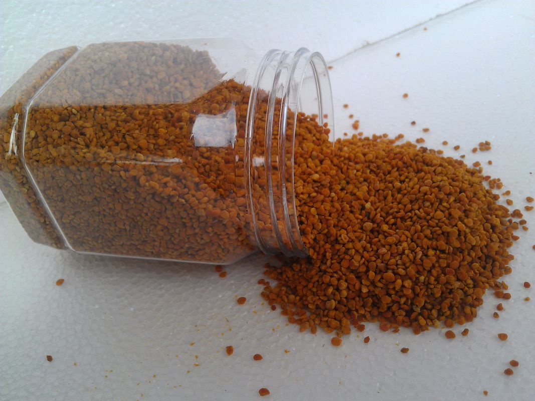 Factory Supply Premium Health Supplement Fresh Tea Bee Pollen Pure Natural Plant Extract Edible Tea Bee Pollen