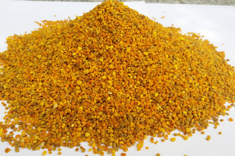Bee Pollen Competitive Price Good Quality Honey Organic Natural Bee Pollen Granules