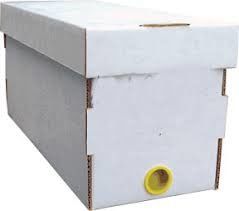 White Color Bee Hive Equipment Nuc Box 58*20*28cm Size For Beekeeping Bee