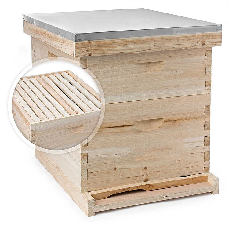 Double Layer Bee Hive Equipment 8/10 Frame Langstroth Honey Bee Hive Box