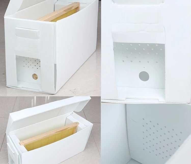 OEM Available Bee Hive Equipment Queen Rearing PP Plastic Corrugated Nuc Box